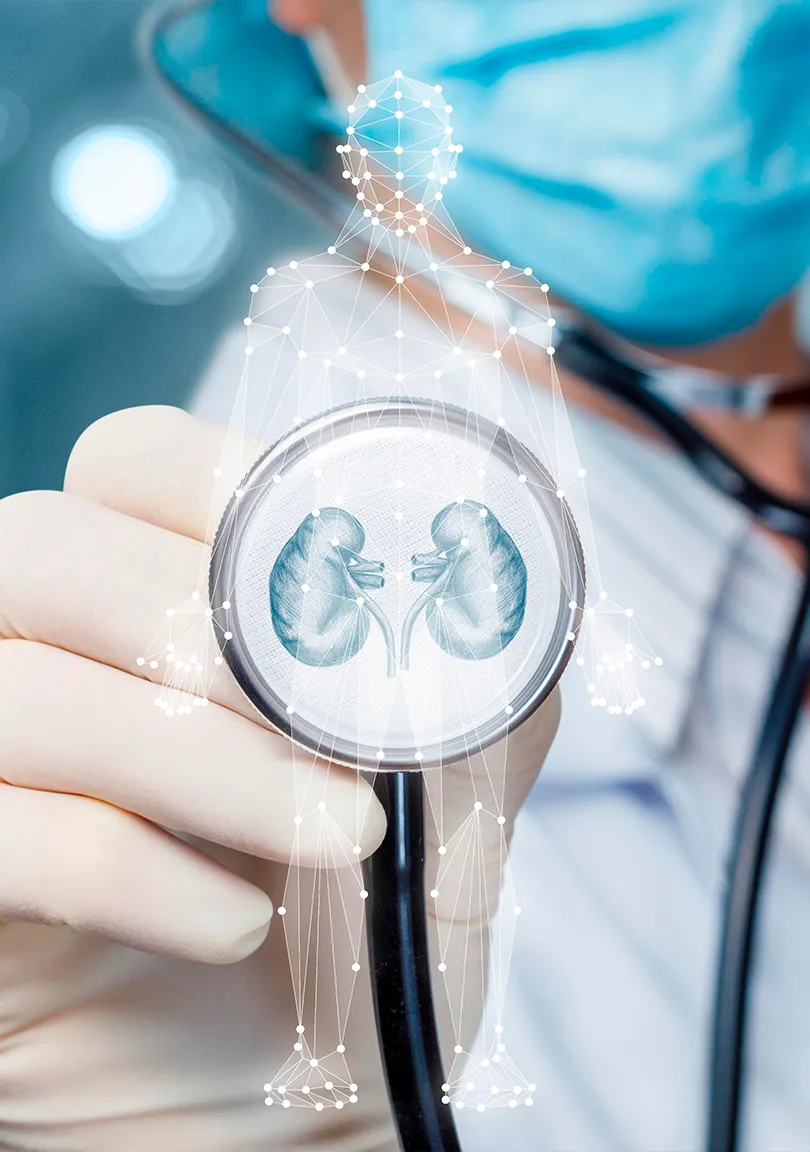 PREVENÇÃO DE DOENÇAS RENAIS